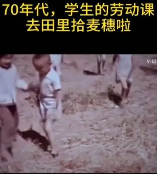 要掌握的生活技能_掌握技能生活要注意什么_掌握技能学会生活