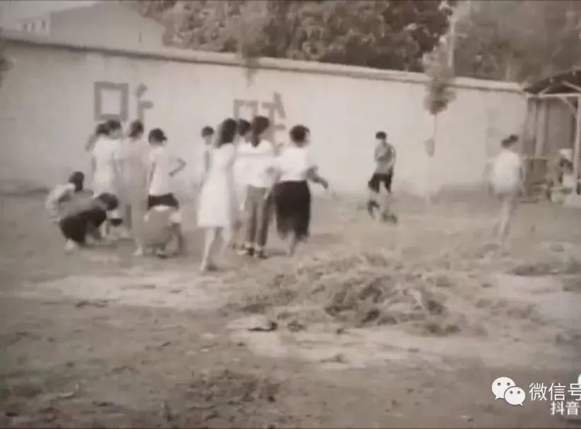 掌握技能生活要注意什么_要掌握的生活技能_掌握技能学会生活